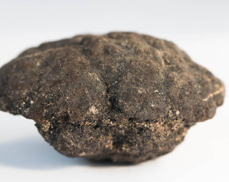 Un zăcământ uriaș de 21.000.000.000 de tone de roci pline cu metale rare, în valoare de 18 trilioane de dolari, a fost găsit pe fundul oceanului Pacific