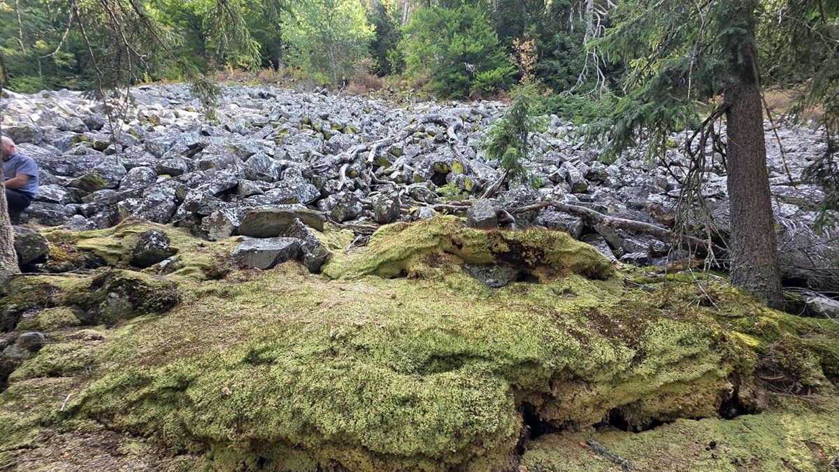 Permafrost Apuseni