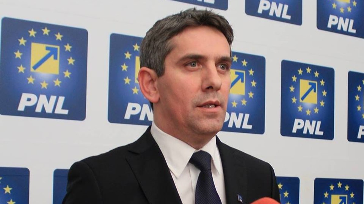 Ionel Danca, PNL