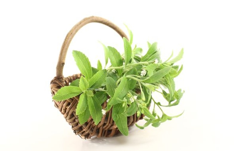 Stevia: dulcele care nu îngraşă