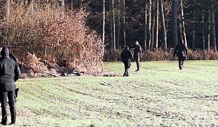 Arhiva foto