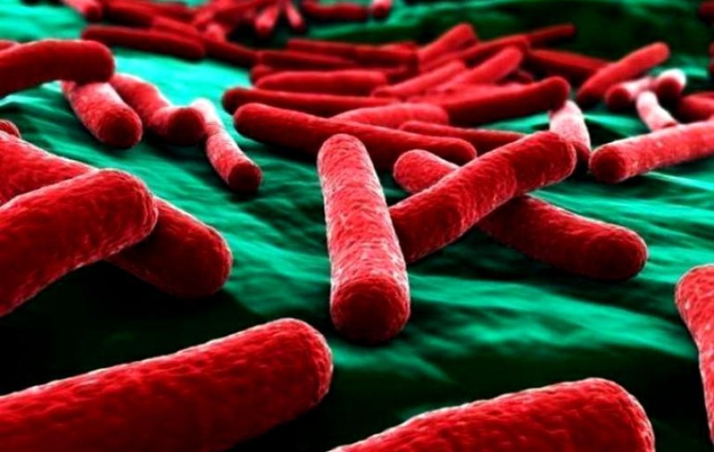 Lista cu alimentele cu suspiciune de contaminare cu Listeria. Zeci de produse au fost retrase de pe piață