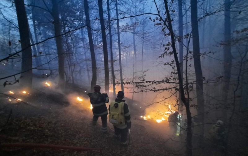 Incendiul din Oituz a fost stins după 10 zile. 35 de hectare de pădure, mistuite de flăcări