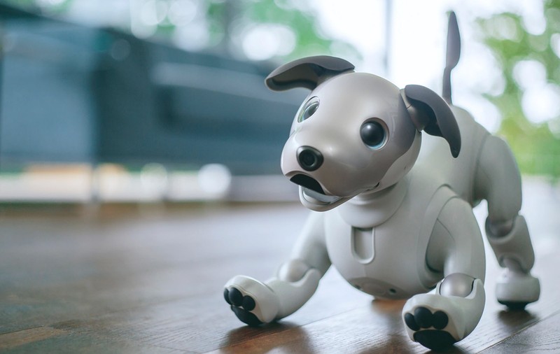 Pană de curent la cel mai mare târg de electronice. Vizitatorii s-au grăbit să salveze cățelușii robotici Sony AIBO - VIDEO