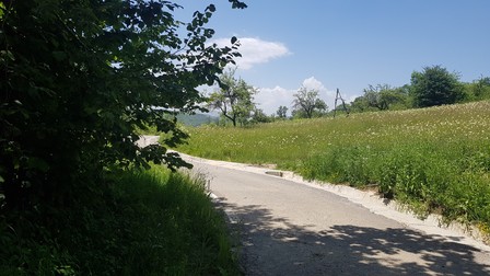 La fel ca ursul, şi omul lasă urme la fiecare trecere prin pădure