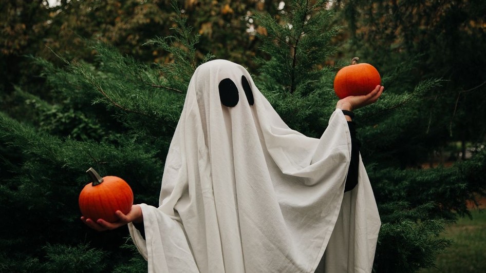 O persoană îmbrăcată în costum de fantomă ține dovleci în aer liber