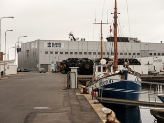 Fabrica de pește Scandic Pelagic, Skagen, Danemarca