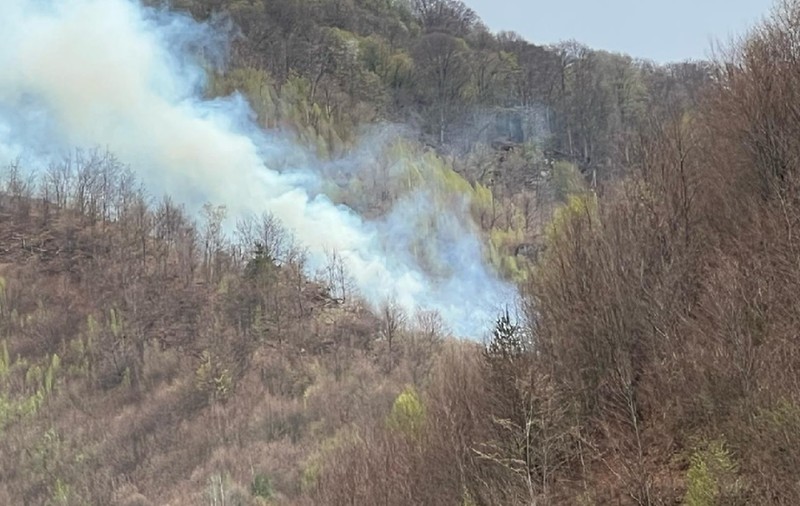 Incendiu de pădure în Argeș. Pompierii încearcă să stingă flăcările extinse pe 30.000 mp. A fost chemat și un elicopter Black Hawk
