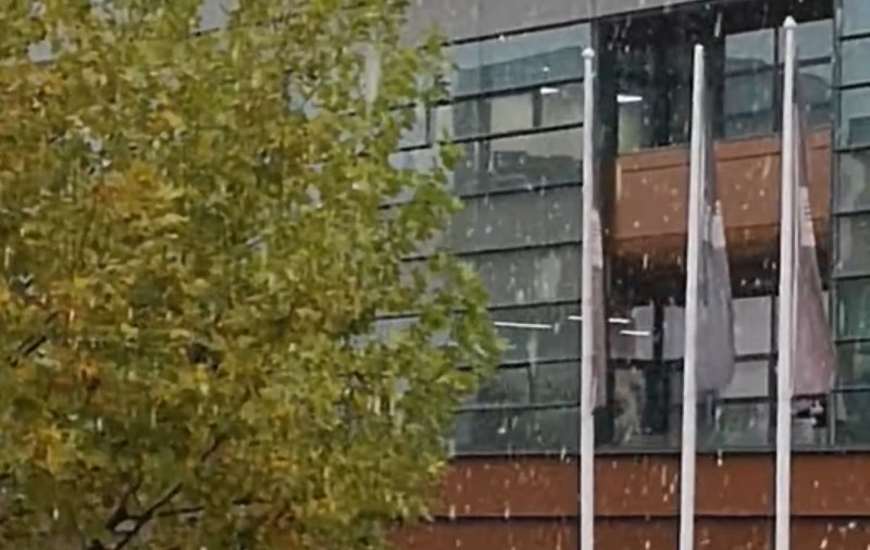Prima ninsoare în București. Imagini cu primii fulgi de zăpadă din acest sezon