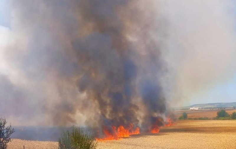 Incendiu deosebit de puternic pe A1, în zona comunei Căteasca