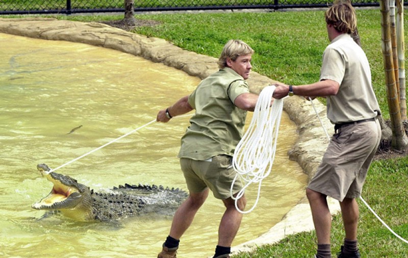 5 ani de la moartea lui Steve Irwin