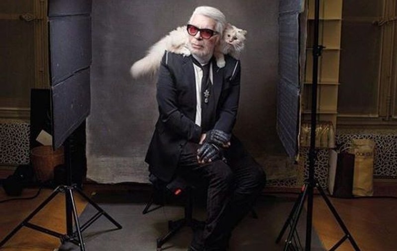 FOTO | Ce a apărut pe contul lui Choupette, pisica-moștenitoare a lui Karl Lagerfeld
