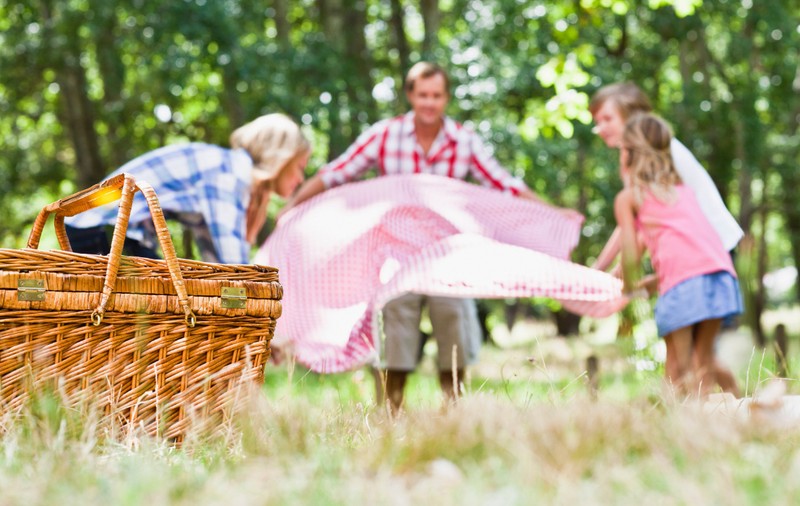 Șapte păduri în apropiere de București, ideale pentru plimbări și picnicuri
