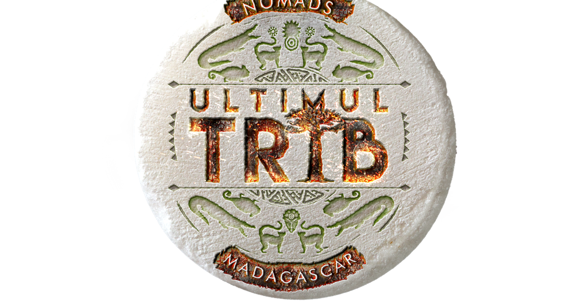 Cei 21 de concurenţi ai reality show-ului „Ultimul Trib” au pãrãsit România cu destinaţia Madagascar | FOTO