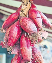 Arhiva foto