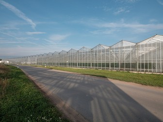 Sere, ferma Höfler Gemüse, Nürnberg, Germania