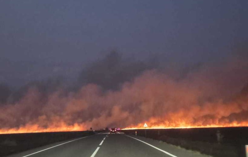 Incendiu puternic de vegetație uscată în județul Dolj. Traficul pe DN 56, zona Maglavit - Moţăţei Gară, este blocat I VIDEO