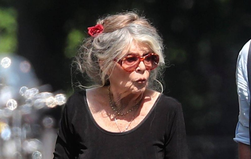 Brigitte Bardot dezminte știrea falsă potrivit căreia ar fi murit: „Nu-mi iau rămas bun”. Care e starea ei de sănătate, după ce a fost internată în spital