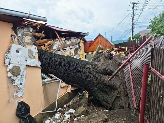 Un copac a distrus o casă în timpul furtunii