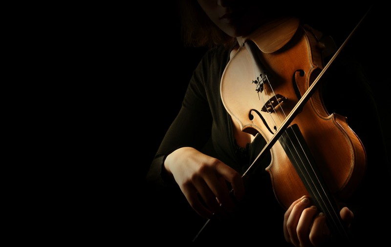 Care sunt instrumentele muzicale cu coarde