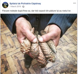 O postare de pe pagina de Facebook a Spitalului Căpâlnaș