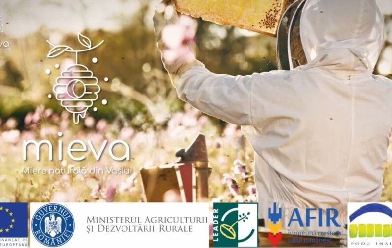 5 motive să cumperi miere naturală
