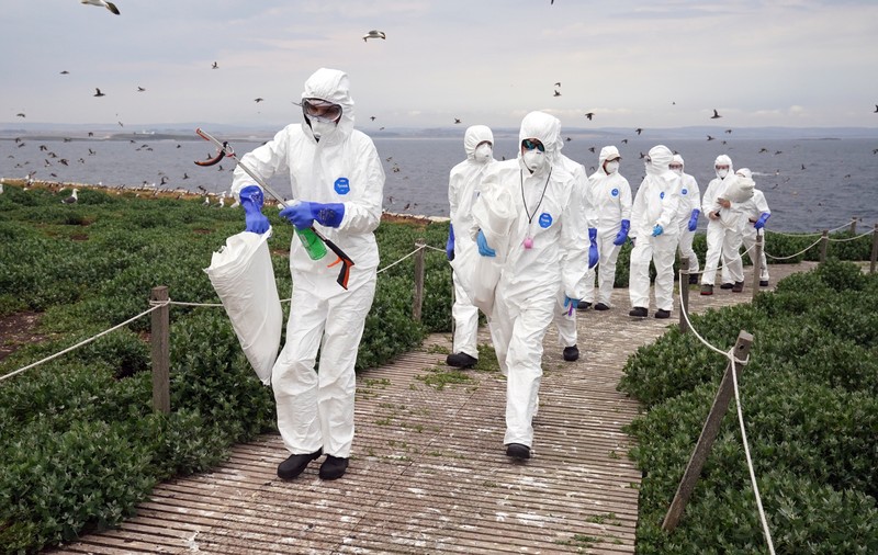 Transmiterea gripei aviare la oameni este „o îngrijorare enormă", avertizează OMS. Tulpina H5N1 are o rată de mortalitate „extraordinar de mare"