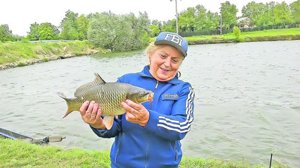 Arhiva foto