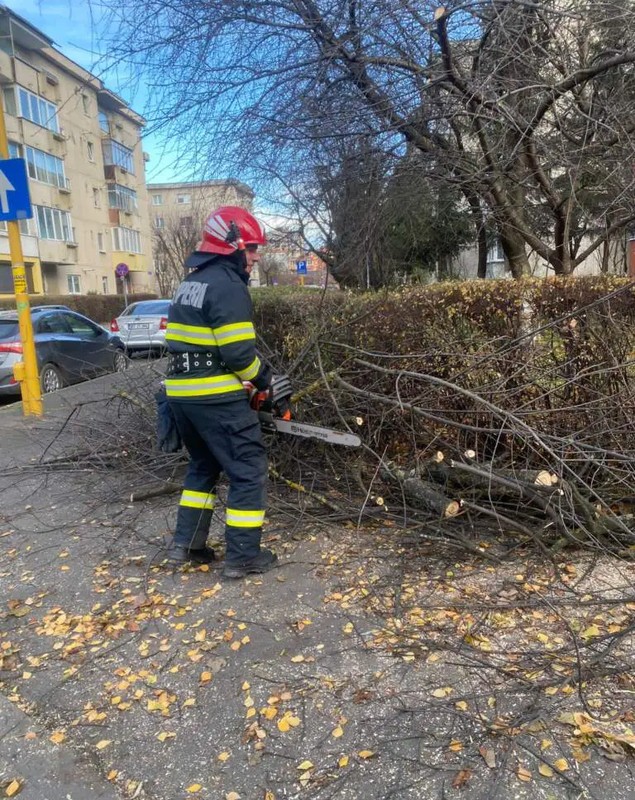Pagube la Brașov din cauza vântului puternic: copaci doborâți, bucați de acoperiş desprinse de pe clădiri. FOTO