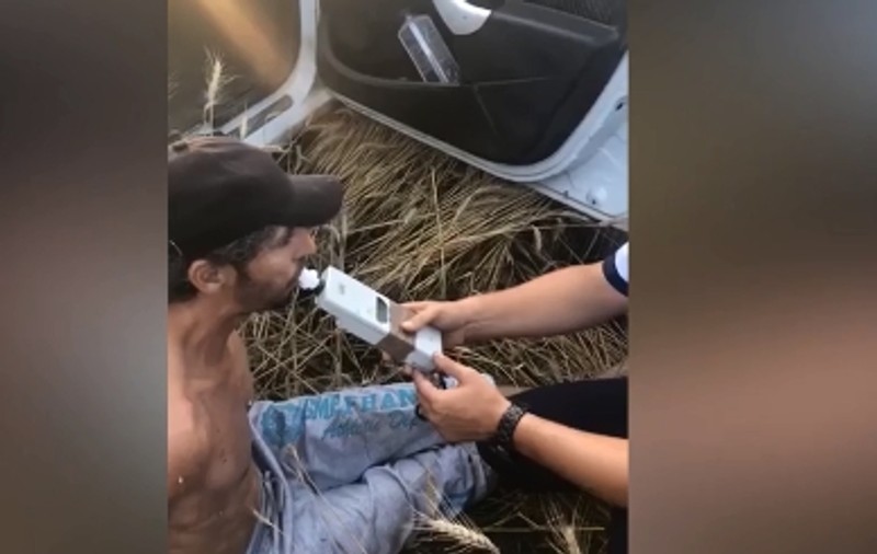 VIDEO | Doi bărbați beți au ajuns cu mașina într-un lan. Dialogul ireal cu polițistul