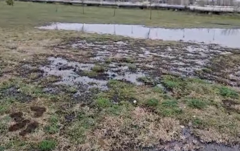 Poluare cu petrol în Parcul Municipal Ploiești. O conductă s-a spart și țițeiul a afectat o porțiune mare. Reacția primarului