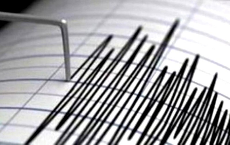 Un cutremur cu magnitudinea de 4,2 grade s-a produs azi în România