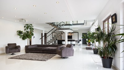 Flori și plante care aduc ghinion în casă. Ce obiecte să nu ții niciodată în locuință