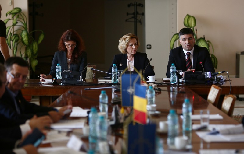 UPDATE. Carmen Dan, audiată în Comisia de apărare din Senat: ”Politica penală a ultimilor ani a fost aceea de a se sancționa cu oarecare blândețe violența”