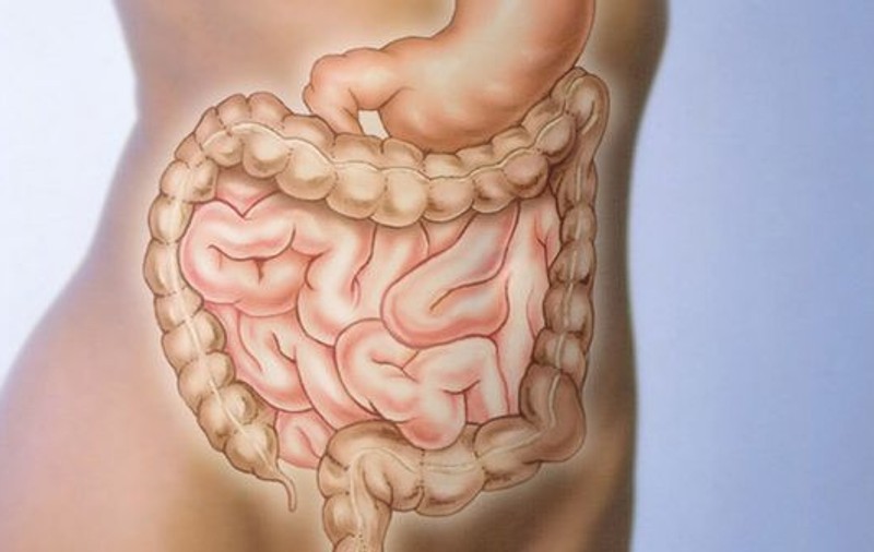 Așa se reface flora intestinală!
