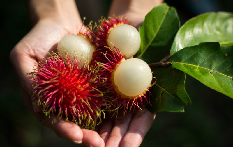 Ce este rambutan. Cum se consumă și ce beneficii are