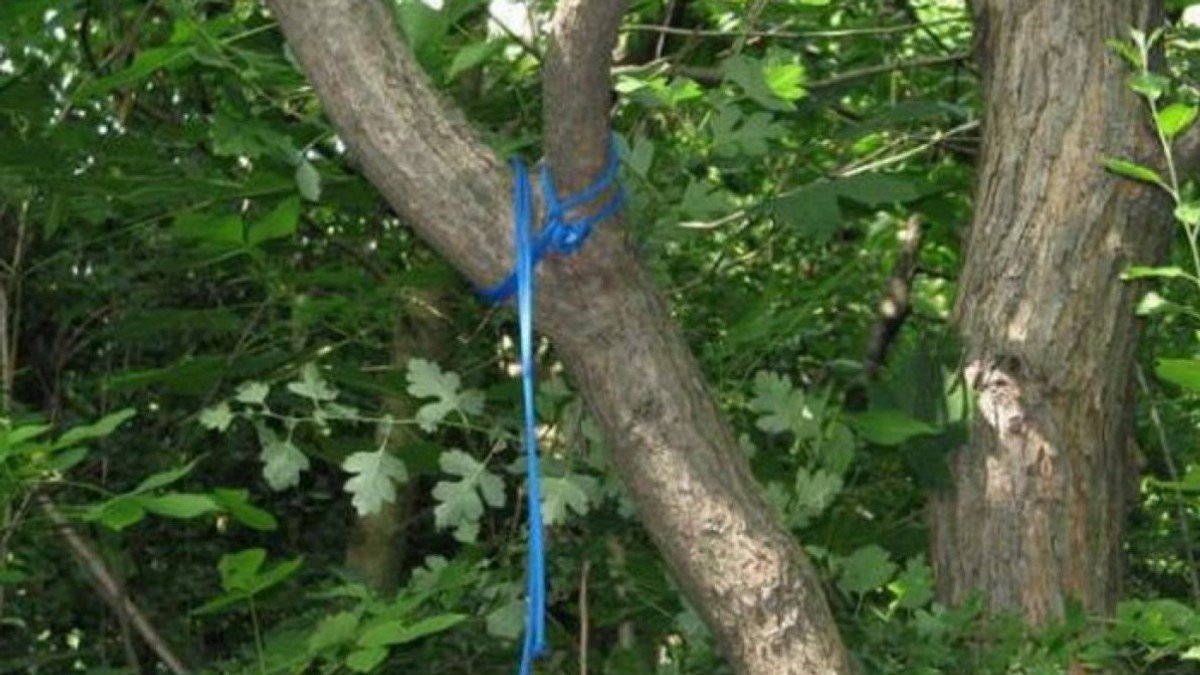 Un bărbat din Vrancea s-a spânzurat în grădina din spatele casei, după ce soția l-a părăsit. Statul i-a luat și fetițele