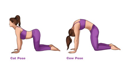Poziții de yoga pentru începători - Cow Pose