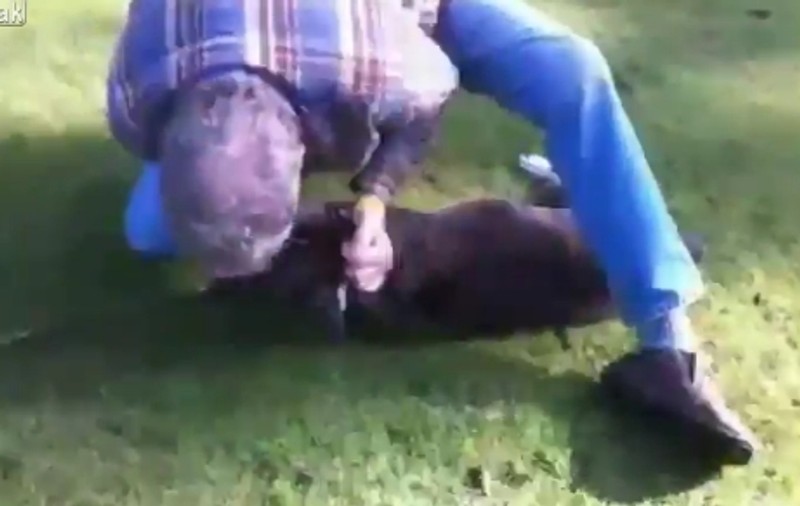 Uite cum i se face respiraţie gură la gură unui câine | VIDEO