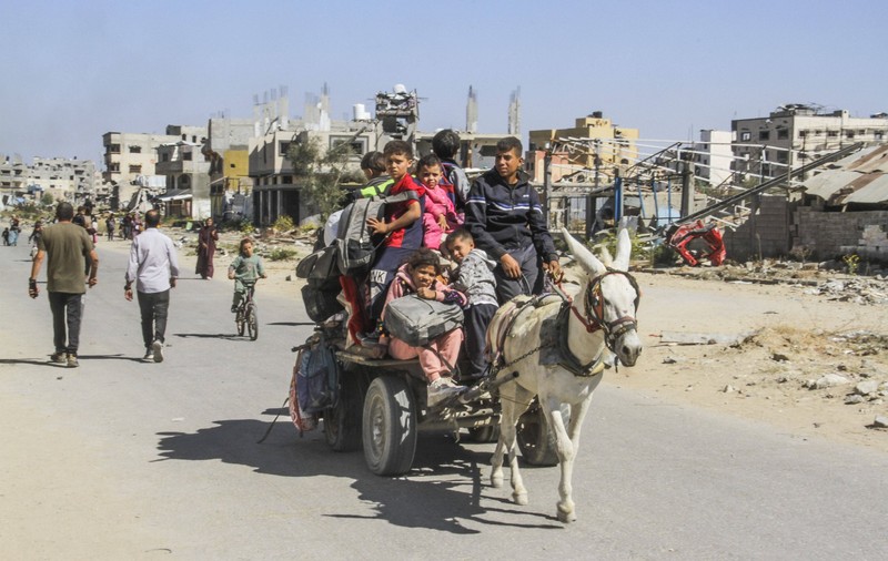 Haaretz: Lumea în care trăim. În Gaza, animalele sunt salvate, dar oamenii încă nu