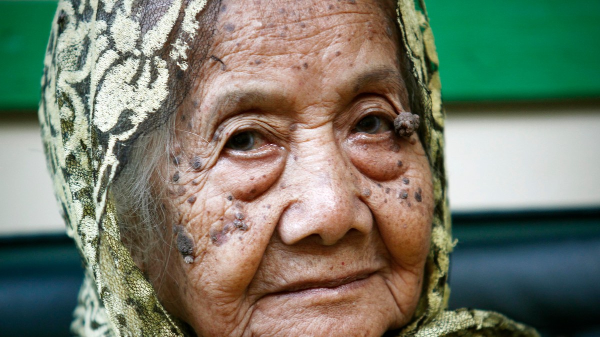 Arhiva foto
