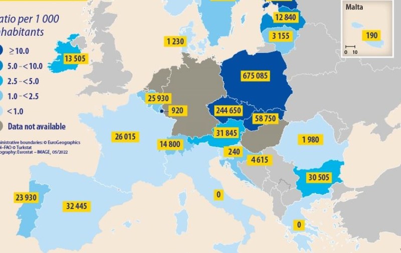 Sub 2.000 de ucraineni au cerut protecție temporară în România, în martie. În Bulgaria, de 15 ori mai mulți. Cum s-a schimbat situația de atunci
