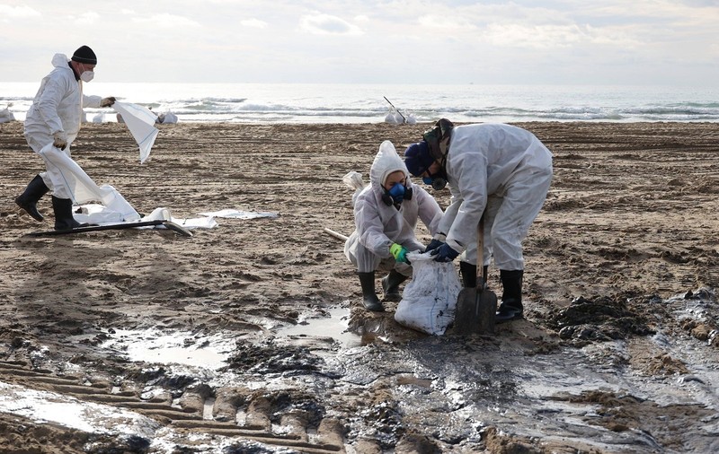 Sute de păsări și zeci de delfini morți, mulți kilometri de plajă afectați de petele de petrol din Marea Neagră. Care este riscul pentru România
