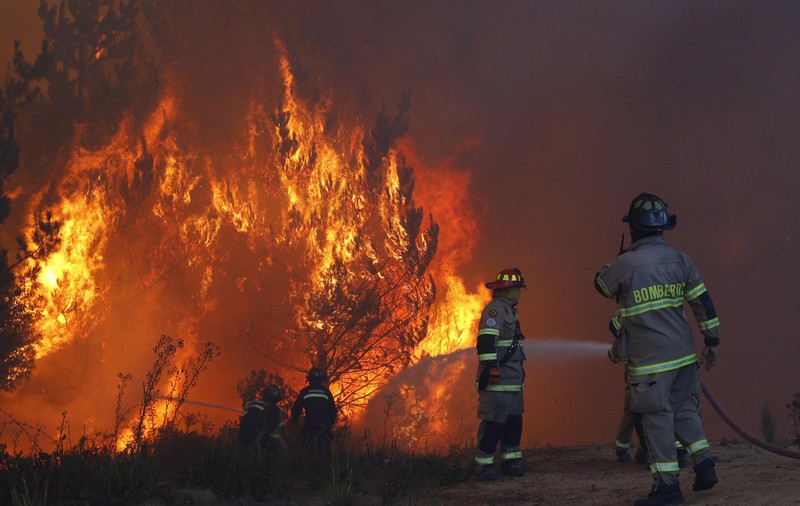 Incendii devastatoare în Chile, unde mii de oameni au fost evacuați | FOTO
