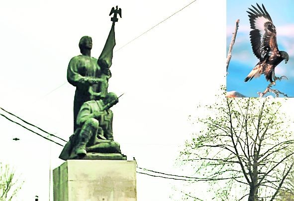 Arhiva foto