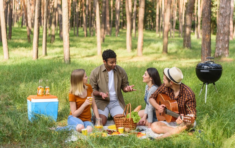 Locuri din România potrivite pentru organizarea unui picnic în natură