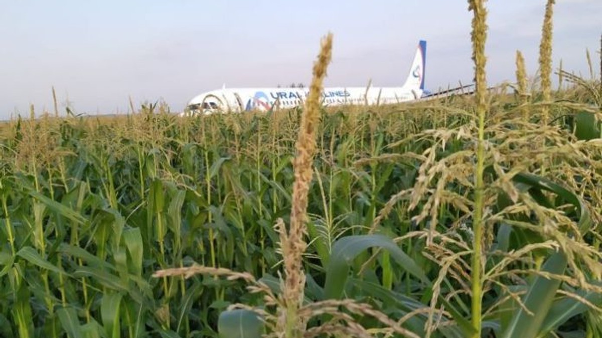 Un avion privat a aterizat într-un lan de porumb!