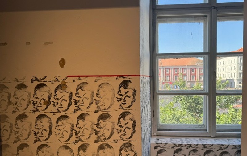 Cum a devenit Timișoara pol al artei contemporane în Europa de Est: „În momente de instabilitate, spațiile artistice devin adesea adăposturi pentru gândirea liberă”