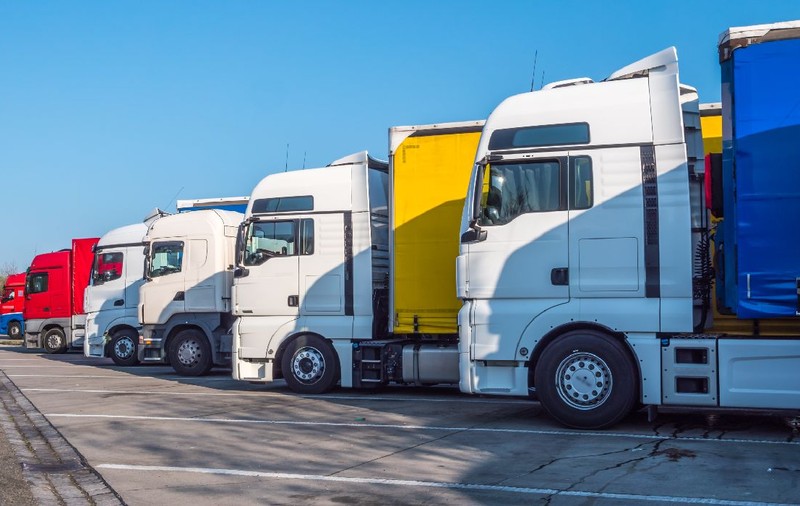 Șoferii de TIR sunt îndemnați să mănânce 30 de plante pe săptămână: „Stau în cabine cu orele, în fiecare zi”