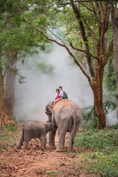 Arhiva foto